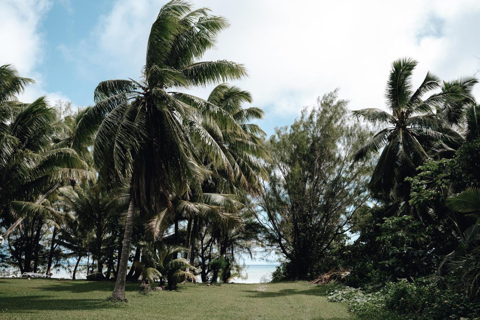 Tai'Inu Bungalows Amuri Exterior photo